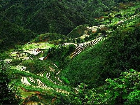 Tour Hải Phòng - Sơn La - Điện Biên - Sapa – Hàm Rồng - Hải Phòng