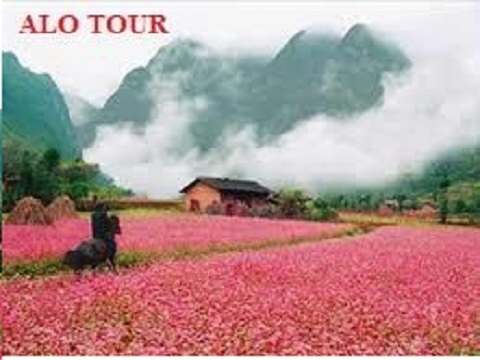 Tour Hải Phòng - Hà Giang - Cột Cờ Lũng Cú - Đồng Văn - Mèo Vạc