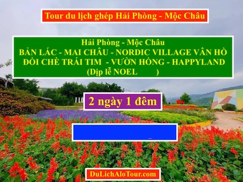 ALO TOUR DU LỊCH GHÉP HẢI PHÒNG MỘC CHÂU NOEL, Alo: 0934.247.166