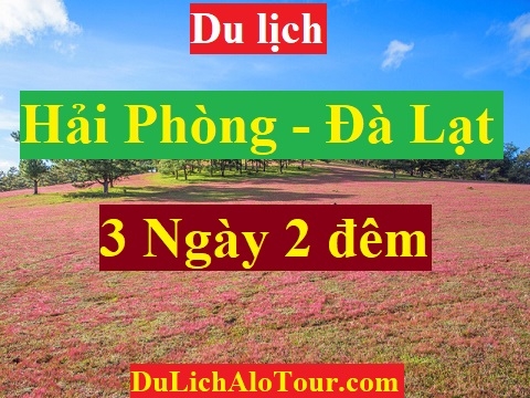 TOUR HẢI PHÒNG - ĐÀ LẠT - HẢI PHÒNG
