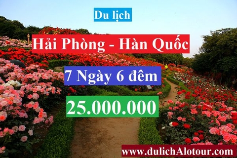 TOUR HẢI PHÒNG – HÀN QUỐC: SEOUL - ĐẢO CHEJU - ĐẢO NAMI (7 Ngày 6 đêm)