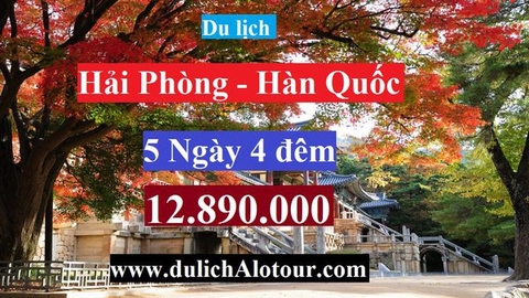 TOUR HẢI PHÒNG – HÀN QUỐC : SEOUL – ĐẢO NAMI – EVERLAND (5 ngày 4 đêm)