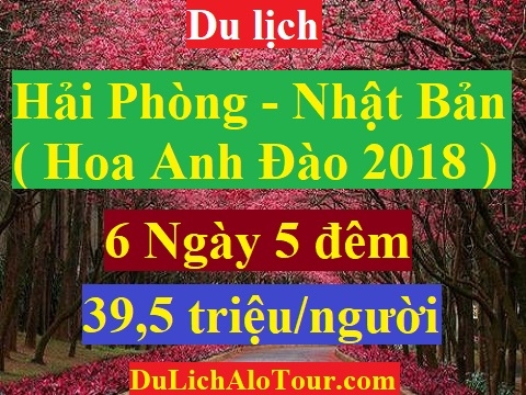 TOUR HẢI PHÒNG - NHẬT BẢN 2018