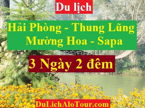 TOUR HẢI PHÒNG - SAPA - KHU DU LỊCH HÀM RỒNG - THUNG LŨNG MƯỜNG HOA