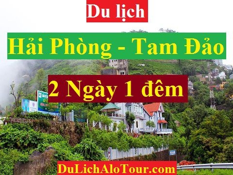 TOUR HẢI PHÒNG – TAM ĐẢO - HẢI PHÒNG