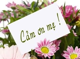 Cảm Ơn Mẹ!