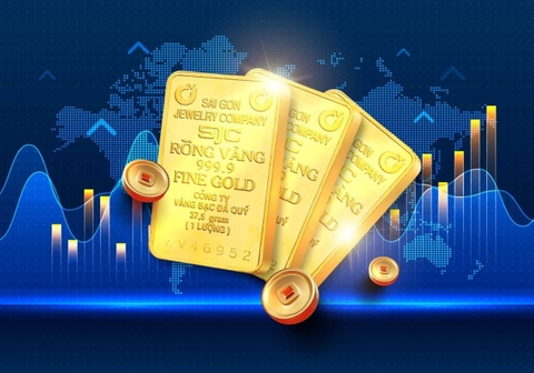 Giá vàng hôm nay 13/6/2024: Thế giới 'rơi tự do', vàng SJC vẫn im ắng