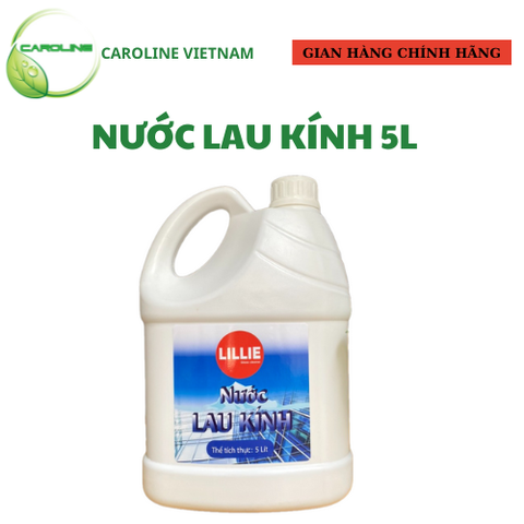 Nước lau kính xe hơi can 5L