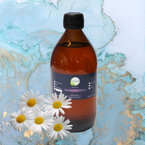 Tinh dầu Cúc La Mã Caroline 500ml - Chrysanthemum