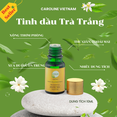 Tinh dầu White tea 10ML