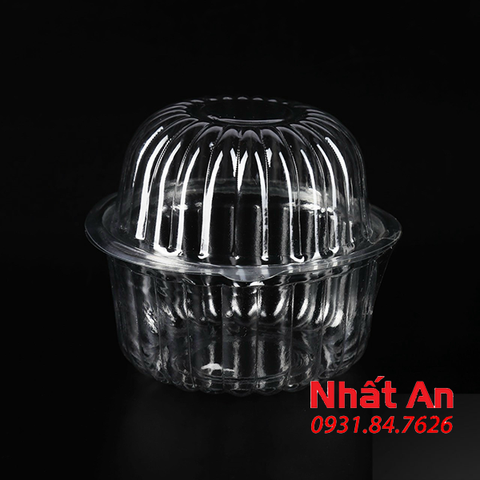 Hộp nhựa trong nắp rời H83