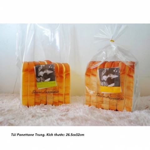 Túi đựng bánh Panettone size lớn