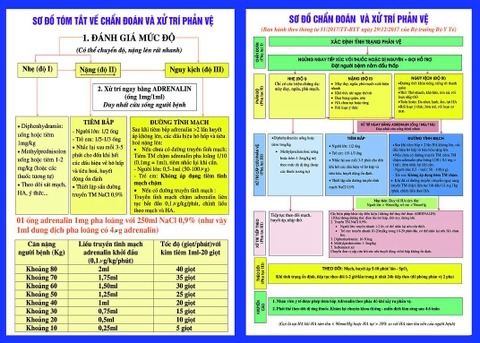 Tranh decan dán bóng. Sơ đồ chẩn đoán, xử trí sốc phản vệ.