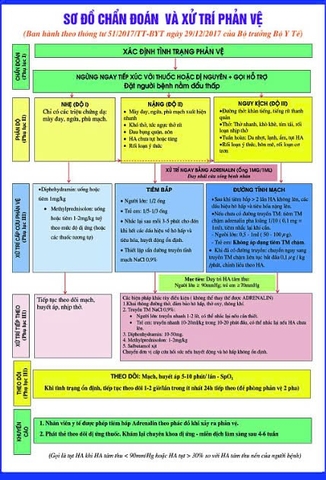 Tranh decan dán bóng. Tranh sơ đồ chẩn đoán và xử trí sốc phản vệ.