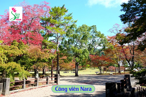 CUNG ĐƯỜNG VÀNG NHẬT BẢN MÙA HÈ 2023 OSAKA – NARA/KOBE – KYOTO – YAMANASHI – TOKYO 6N5Đ