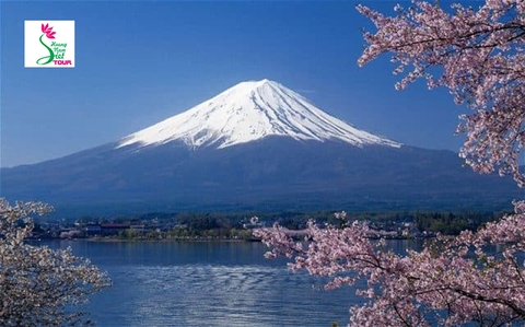 NGẮM HOA ANH ĐÀO TRÊN CUNG ĐƯỜNG TOKYO – YAMANASHI – TOYOHASHI – KYOTO – OSAKA – KOBE
