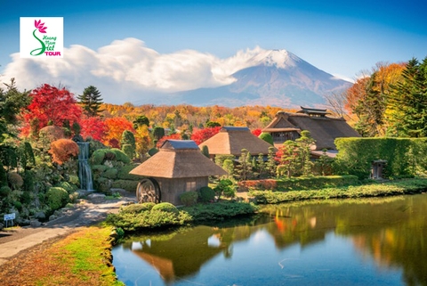 NGẮM HOA ANH ĐÀO TRÊN CUNG ĐƯỜNG TOKYO – YAMANASHI – TOYOHASHI – KYOTO – OSAKA – KOBE