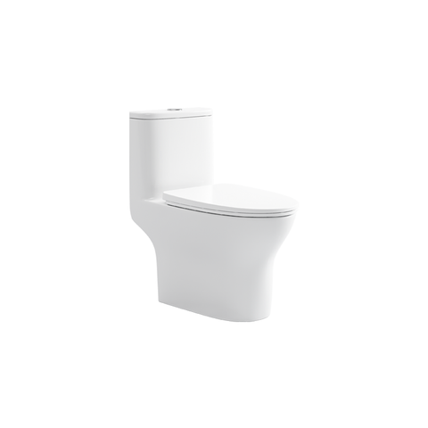 BC 6601 - One Piece Toilet