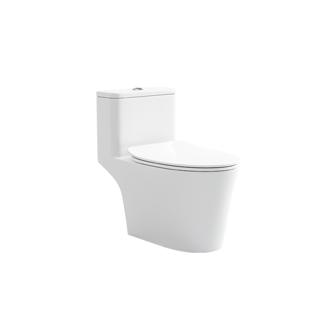 BC 8010 - One Piece Toilet
