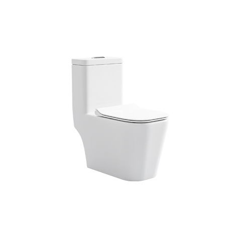 BC 8301 - One Piece Toilet