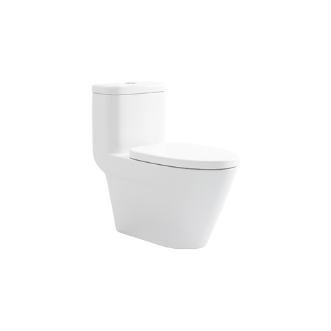 BC 8821 - One Piece Toilet