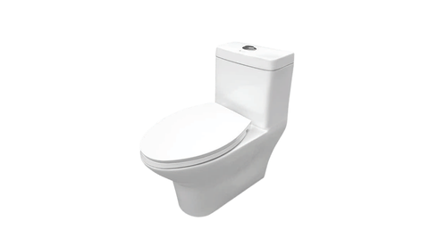 BC 619 - One Piece Toilet