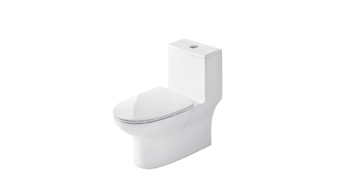 BC 660 - One Piece Toilet