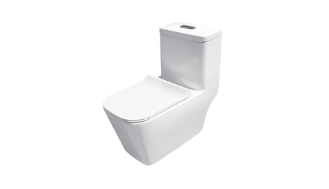 BC 830 - One Piece Toilet