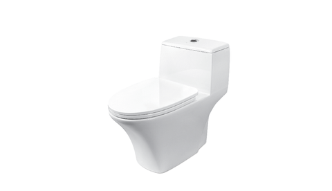 BC 880 - One Piece Toilet