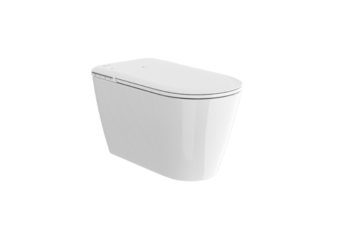 ITB 966 - Smart Toilet
