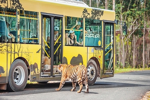 Lạc vào thiên nhiên hoang dã giữa đảo ngọc tại Vinpearl Safari Phú Quốc