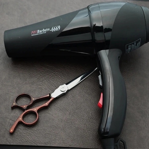 Máy Sấy Pro-Babers 6669