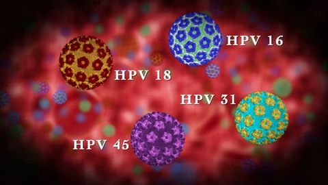 HPV và bệnh ung thư cổ tử cung