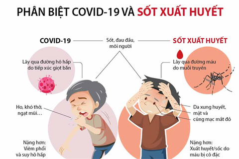 Phân biệt sốt xuất huyết và Covid-19