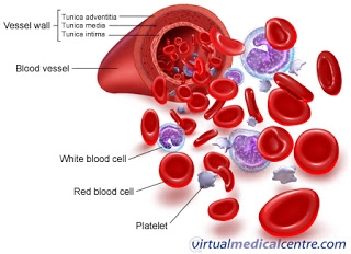 Xử trí giảm tế bào máu trong điều trị viêm gan virus C mạn tính