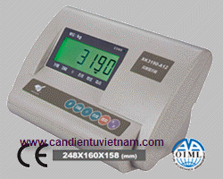 Đầu Cân Yahua A12 OIML