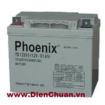 Ắc quy Phoenix 12V-31Ah TS12310