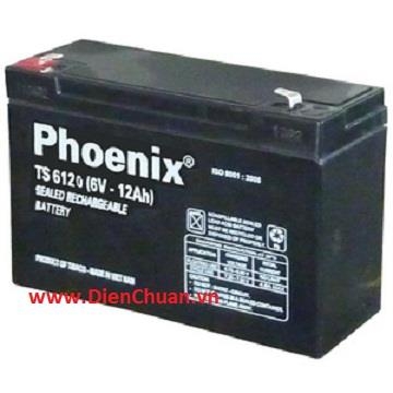 BÌNH ẮC QUY PHOENIX 6V 12AH (TS6120)