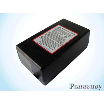 Máy sạc ắc quy tự động Panasucy 20A