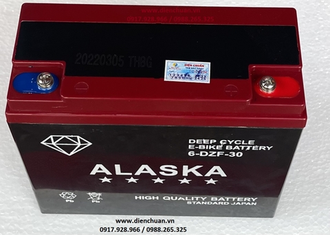 Ắc quy xe đạp điện 12V 30Ah ALASKA 6-DZF-30