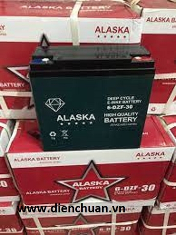 Ắc quy xe đạp điện 12V 30Ah ALASKA 6-DZF-30