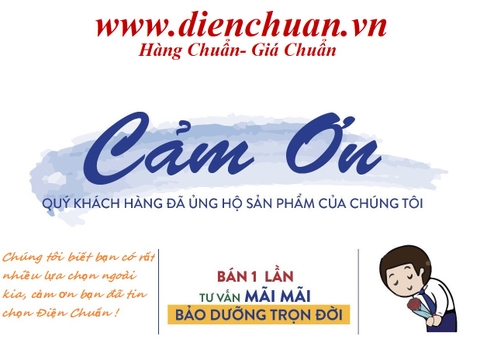 Ắc quy Platinum 56219 ( 12V 62AH )