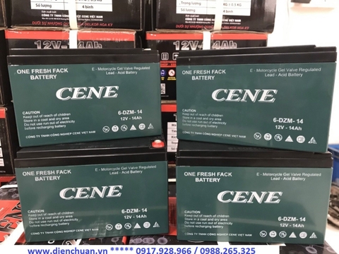 Bình ắc quy xe đạp điện CENE 12V 14Ah 6-DZM-14