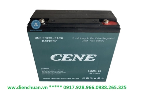 Ắc quy xe máy điện 12V 24Ah CENE 6-DZM-24