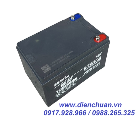 Ắc quy xe đạp điện CHILWEE 12V 13AH 6-DZF-13 - Hàng nội địa chất lượng số 1 Trung Quốc