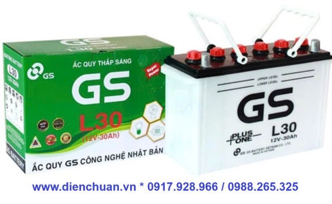 Ắc quy GS L30 ( 12V 30ah )