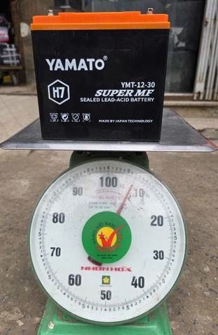 Ắc quy xe đạp điện xe máy điện 12V 30Ah YAMATO H7 (6-DZF-30 )