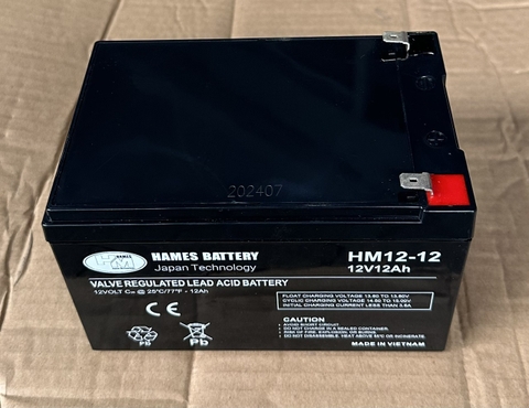 Ắc quy 12V-12Ah HAMES HM12-12
