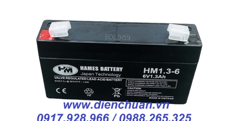 Ắc quy Hames HM1.3-6 ( 6V 1.3Ah )/  pin 6V-1.3Ah