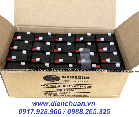 Ắc quy 6V 5Ah HAMES HM5-6 / pin 6V-5Ah